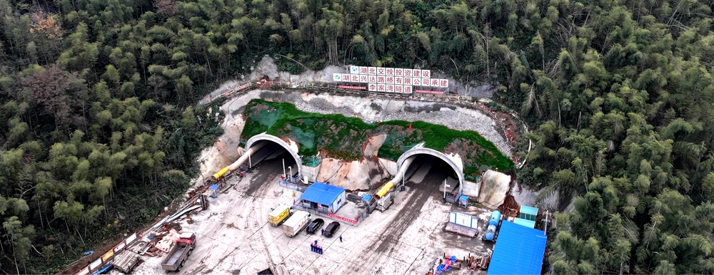 图2_副本 图2_副本